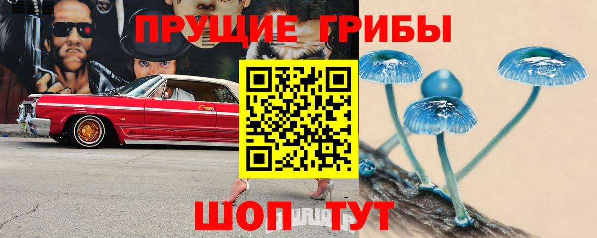 Галлюциногенные грибы GOLDEN TEACHER Орёл