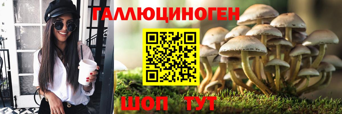 Галлюциногенные грибы мицелий  Вход с VPN  Орёл  Галлюциногенные грибы Magic Shrooms 